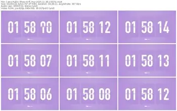 cams-ff_mur-11-28-2025-13-31-51