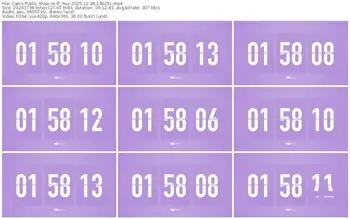 cams-ff_mur-11-28-2025-14-02-51