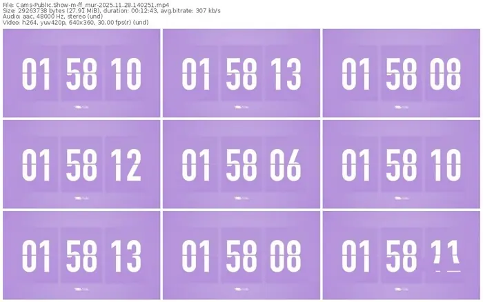 cams-ff_mur-11-28-2025-14-02-51