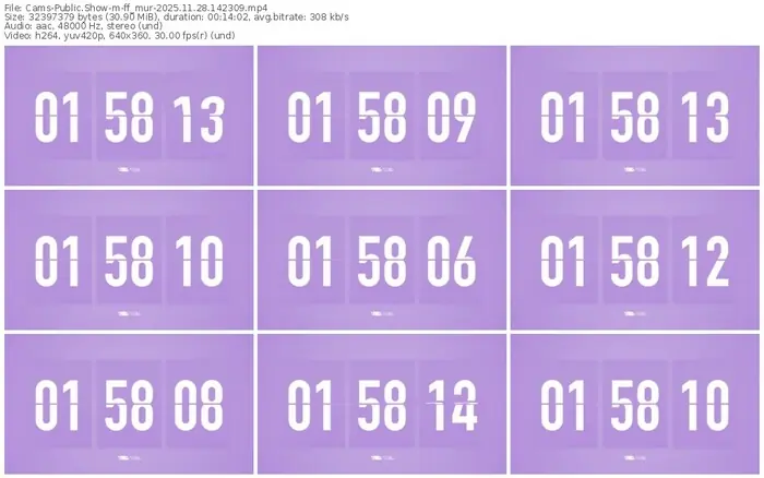cams-ff_mur-11-28-2025-14-23-09