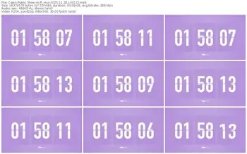 cams-ff_mur-11-28-2025-14-41-22