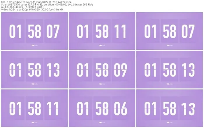 cams-ff_mur-11-28-2025-14-41-22