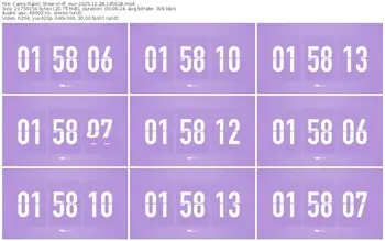 cams-ff_mur-11-28-2025-14-50-28