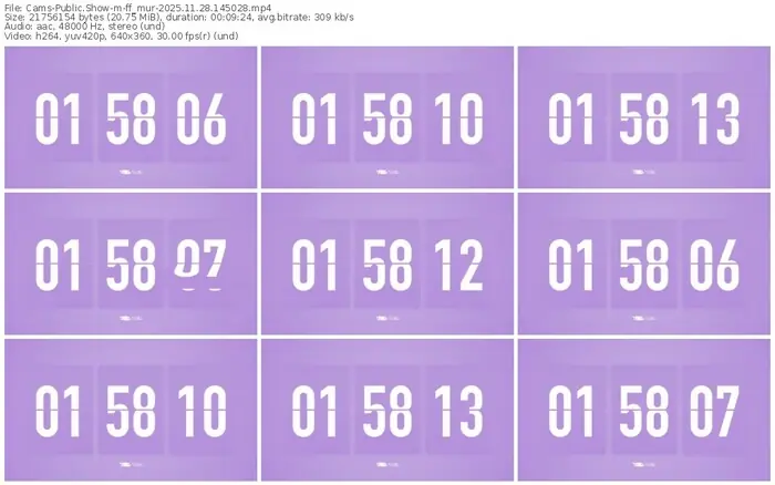 cams-ff_mur-11-28-2025-14-50-28