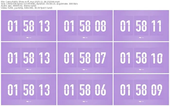 cams-ff_mur-11-28-2025-15-20-44