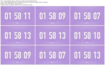 cams-ff_mur-11-28-2025-15-29-44