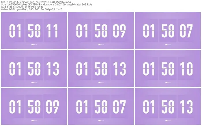 cams-ff_mur-11-28-2025-15-29-44