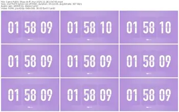 cams-ff_mur-11-28-2025-15-47-45