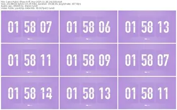 cams-ff_mur-11-28-2025-16-13-04