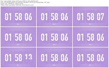 cams-ff_mur-11-28-2025-16-21-55