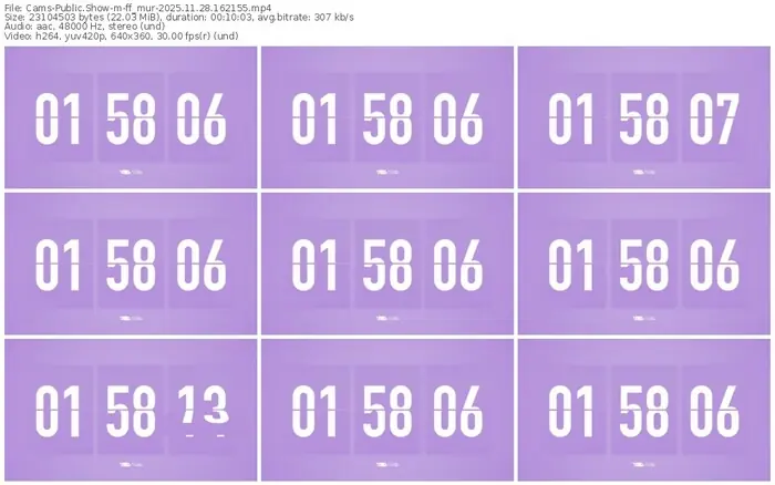 cams-ff_mur-11-28-2025-16-21-55