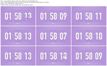 cams-ff_mur-11-28-2025-16-32-28