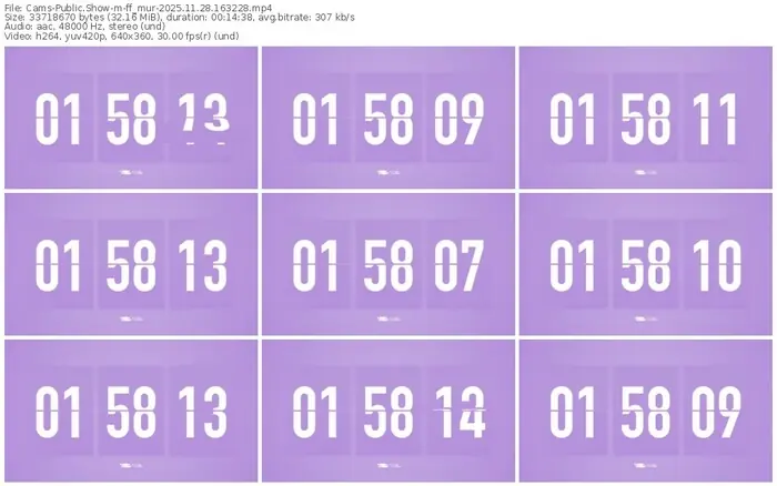 cams-ff_mur-11-28-2025-16-32-28