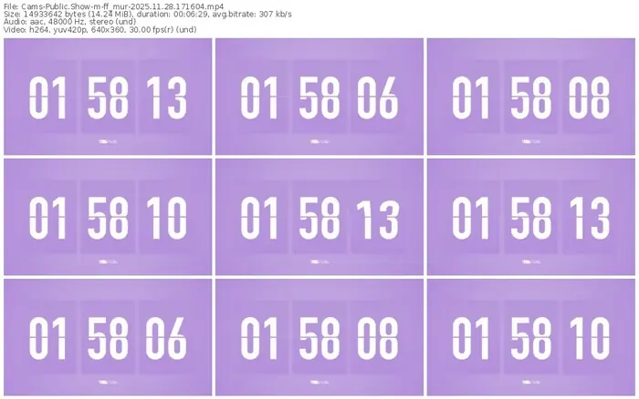 cams-ff_mur-11-28-2025-17-16-04