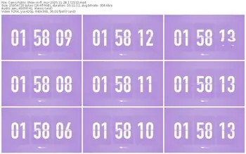 cams-ff_mur-11-28-2025-17-25-32