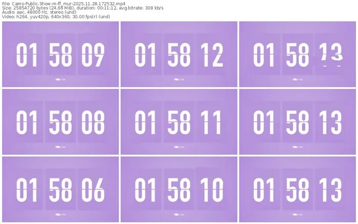 cams-ff_mur-11-28-2025-17-25-32