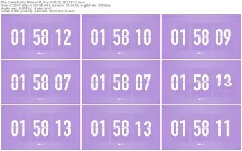 cams-ff_mur-11-28-2025-17-37-43