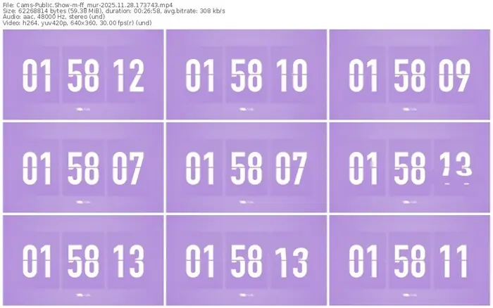 cams-ff_mur-11-28-2025-17-37-43