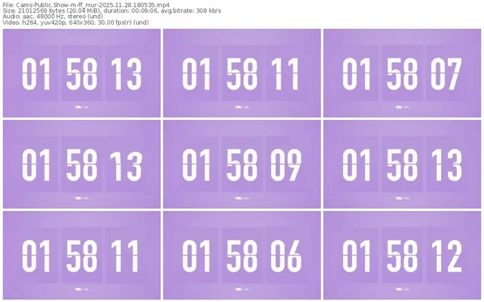 cams-ff_mur-11-28-2025-18-05-35