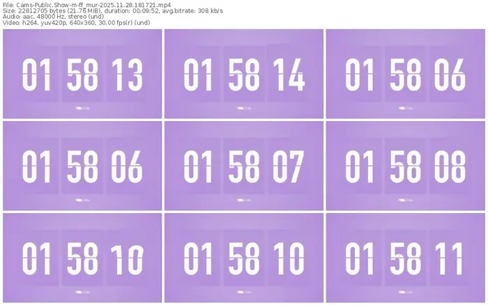 cams-ff_mur-11-28-2025-18-17-21