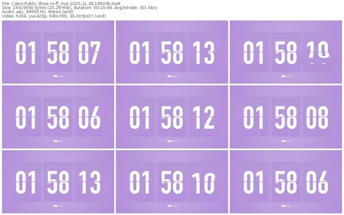 cams-ff_mur-11-28-2025-18-40-36