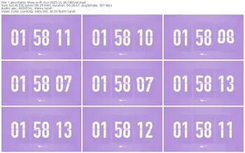 cams-ff_mur-11-28-2025-18-55-44