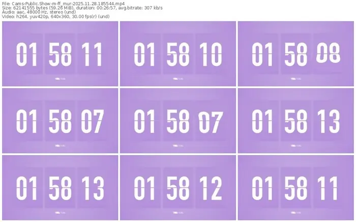 cams-ff_mur-11-28-2025-18-55-44