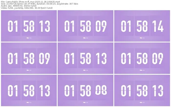 cams-ff_mur-11-28-2025-19-36-25