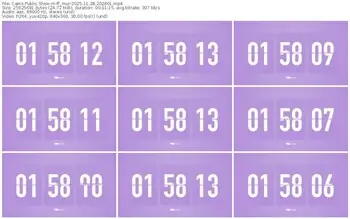 cams-ff_mur-11-28-2025-20-26-01