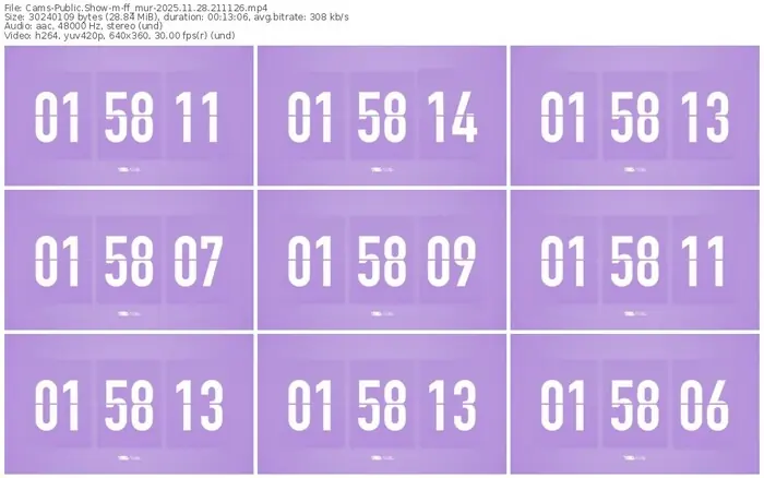 cams-ff_mur-11-28-2025-21-11-26