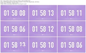 cams-ff_mur-11-28-2025-21-26-00