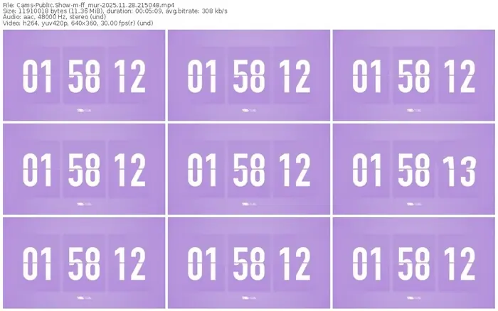 cams-ff_mur-11-28-2025-21-50-48