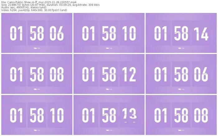 cams-ff_mur-11-28-2025-22-05-57