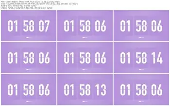 cams-ff_mur-11-28-2025-22-22-52