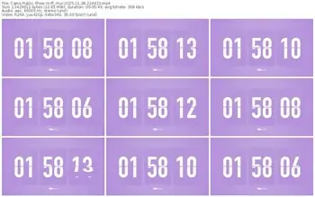 cams-ff_mur-11-28-2025-22-44-23