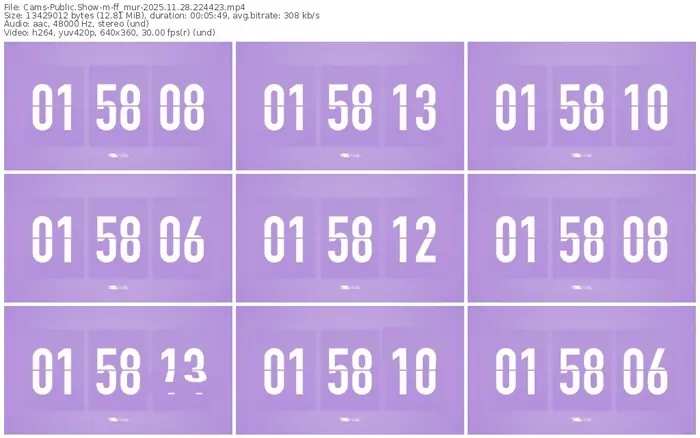 cams-ff_mur-11-28-2025-22-44-23