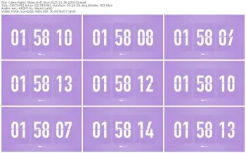 cams-ff_mur-11-28-2025-22-50-32