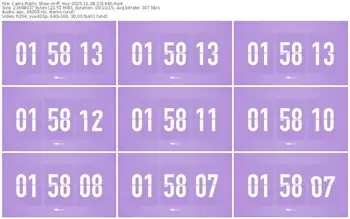 cams-ff_mur-11-28-2025-23-14-40