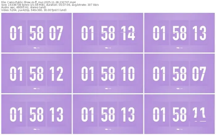 cams-ff_mur-11-28-2025-23-27-07