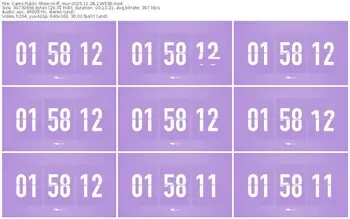 cams-ff_mur-11-28-2025-23-45-38