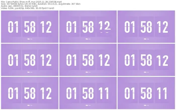cams-ff_mur-11-28-2025-23-45-38