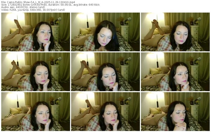 cams-a_l_m_a-11-29-2025-13-04-10