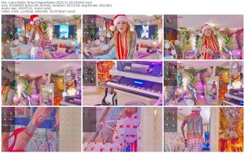 cams-aspenpeeks-11-29-2025-03-35-42