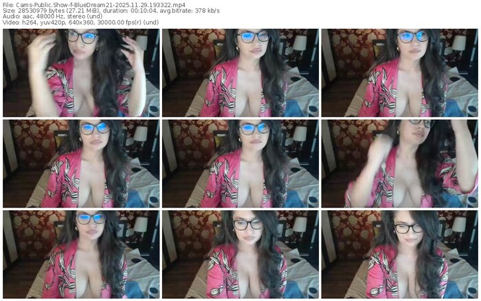 cams-bluedream21-11-29-2025-19-33-22