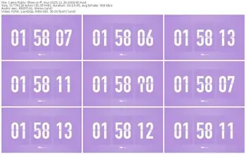 cams-ff_mur-11-29-2025-00-06-39