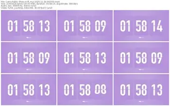 cams-ff_mur-11-29-2025-00-25-55