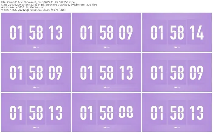 cams-ff_mur-11-29-2025-00-25-55