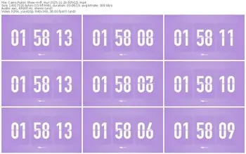 cams-ff_mur-11-29-2025-00-50-21