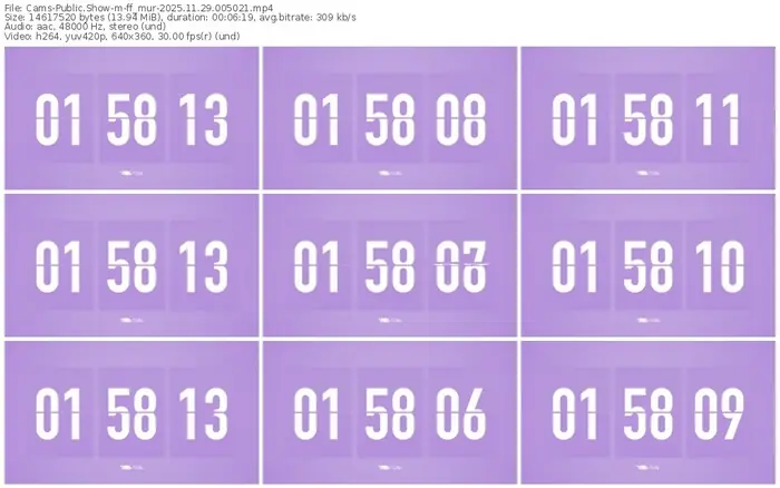 cams-ff_mur-11-29-2025-00-50-21