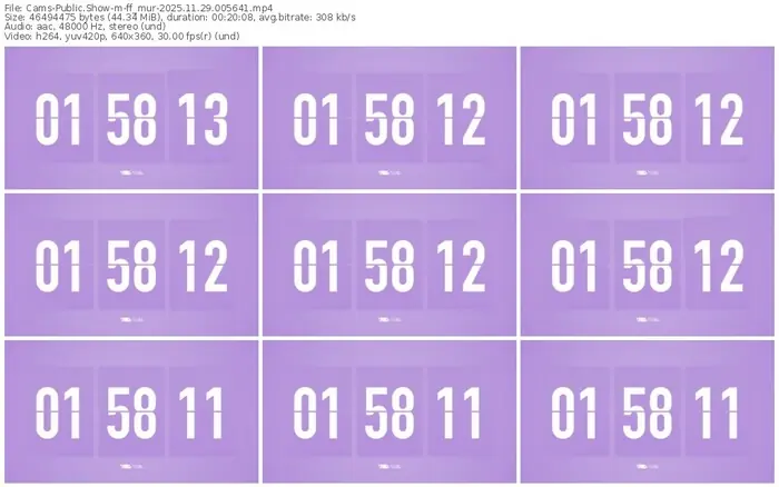 cams-ff_mur-11-29-2025-00-56-41